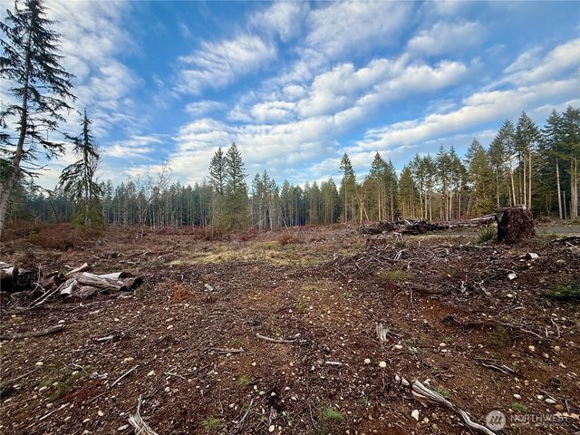 255 E Solbakk Veien Road, Shelton, WA 98584