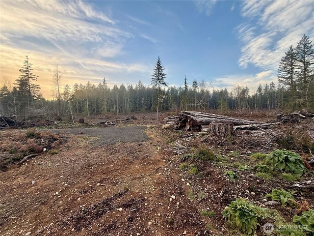 255 E Solbakk Veien Road, Shelton, WA 98584