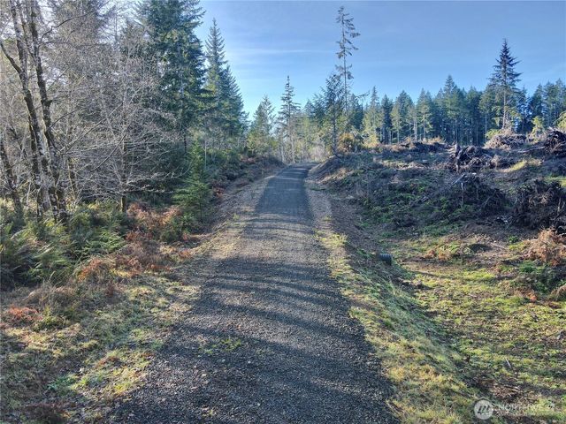 255 E Solbakk Veien Road, Shelton, WA 98584