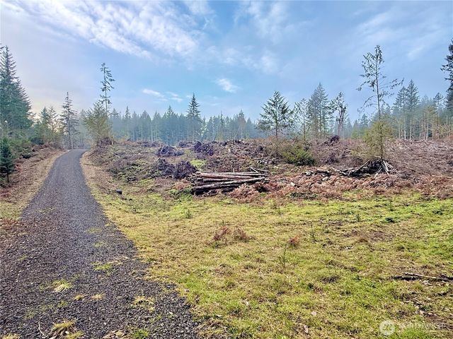 255 E Solbakk Veien Road, Shelton, WA 98584