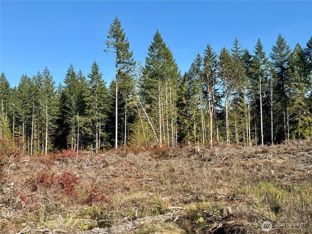 255 E Solbakk Veien Road, Shelton, WA 98584