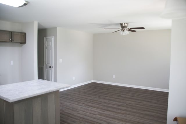 1603 Mantlo St, Springfield, TN 37172