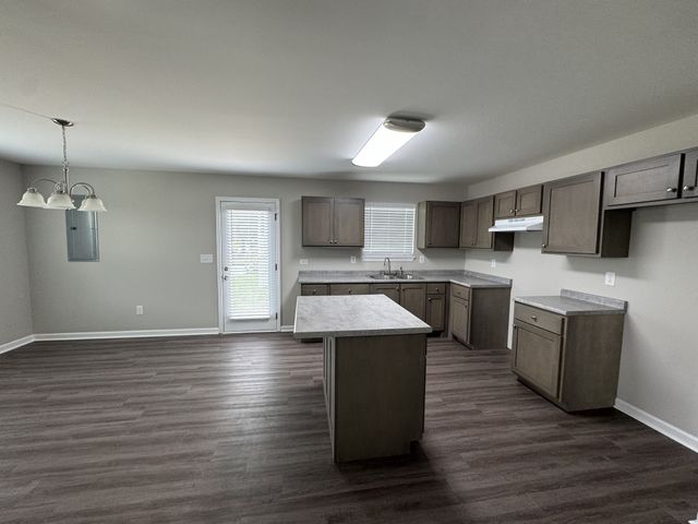 1603 Mantlo St, Springfield, TN 37172