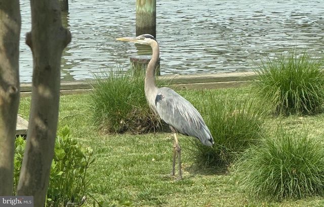 5931 FLOOD AVE, Deale, MD 20751