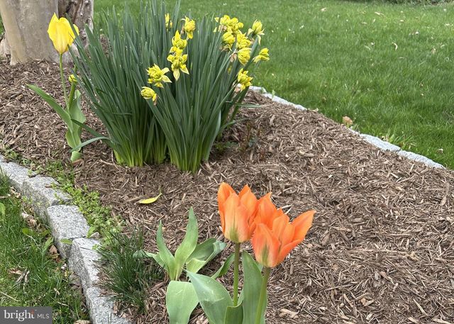 5931 FLOOD AVE, Deale, MD 20751