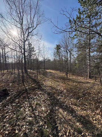 7584 Railroad Grade, Nester Twp, MI 48624