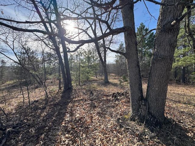 7584 Railroad Grade, Nester Twp, MI 48624
