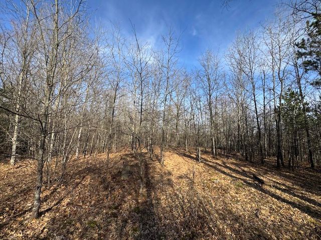 7584 Railroad Grade, Nester Twp, MI 48624