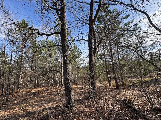 7584 Railroad Grade, Nester Twp, MI 48624