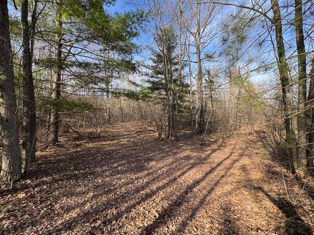 7584 Railroad Grade, Nester Twp, MI 48624