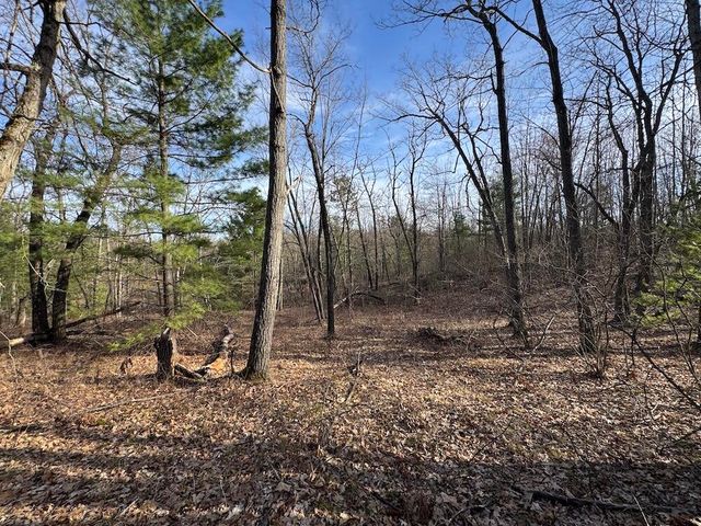 7584 Railroad Grade, Nester Twp, MI 48624