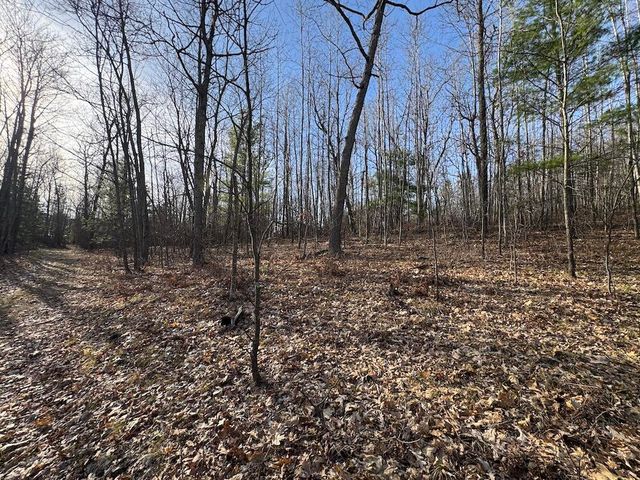 7584 Railroad Grade, Nester Twp, MI 48624