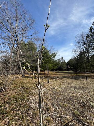 7584 Railroad Grade, Nester Twp, MI 48624