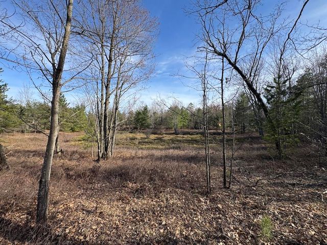 7584 Railroad Grade, Nester Twp, MI 48624