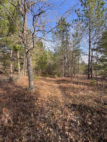 7584 Railroad Grade, Nester Twp, MI 48624