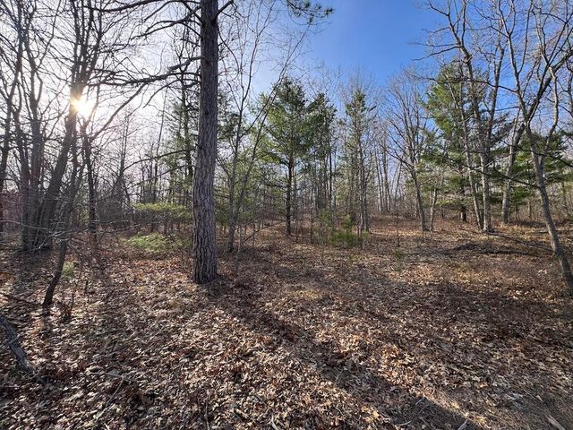 7584 Railroad Grade, Nester Twp, MI 48624