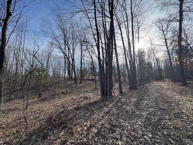 7584 Railroad Grade, Nester Twp, MI 48624