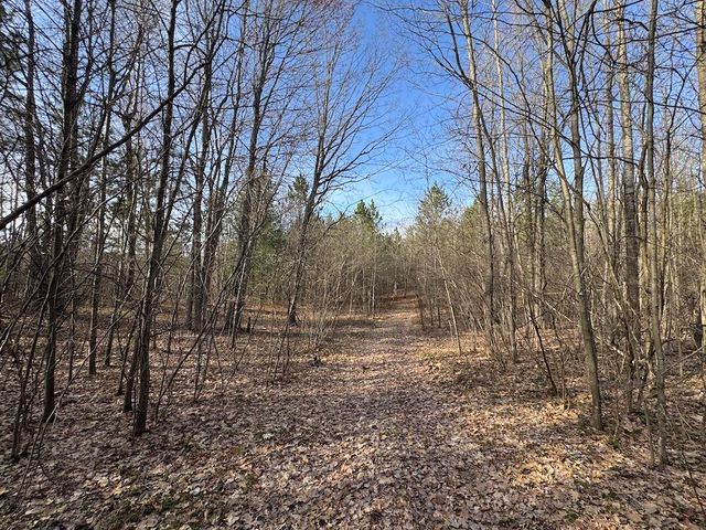 7584 Railroad Grade, Nester Twp, MI 48624