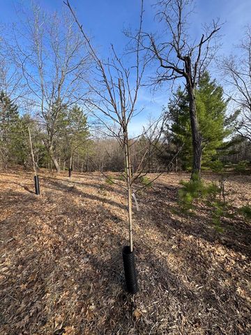 7584 Railroad Grade, Nester Twp, MI 48624