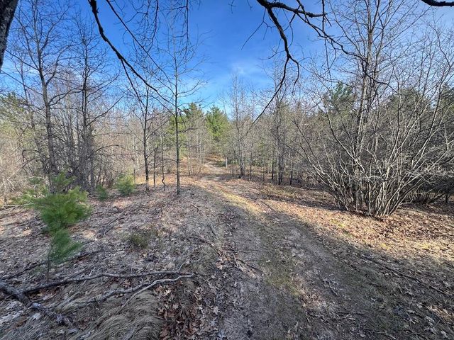 7584 Railroad Grade, Nester Twp, MI 48624
