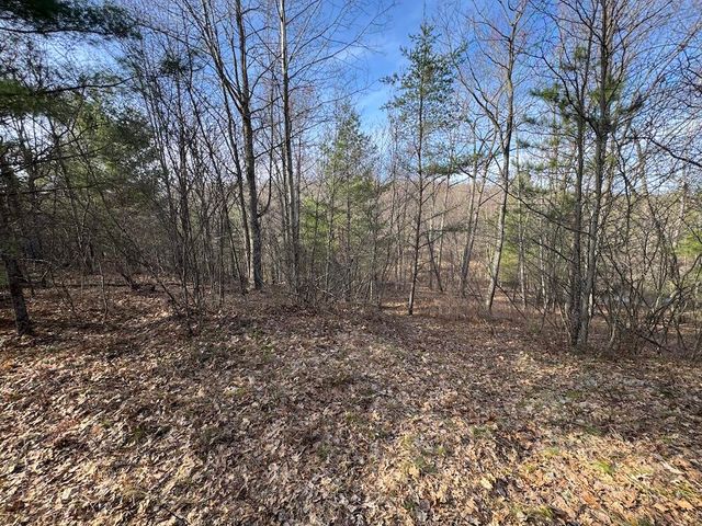 7584 Railroad Grade, Nester Twp, MI 48624
