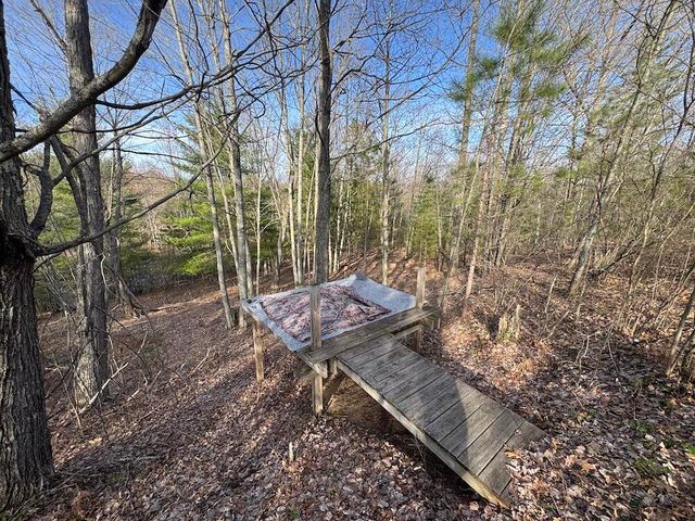 7584 Railroad Grade, Nester Twp, MI 48624