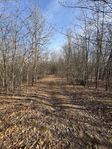 7584 Railroad Grade, Nester Twp, MI 48624