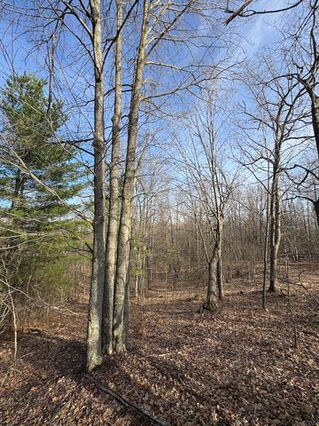 7584 Railroad Grade, Nester Twp, MI 48624