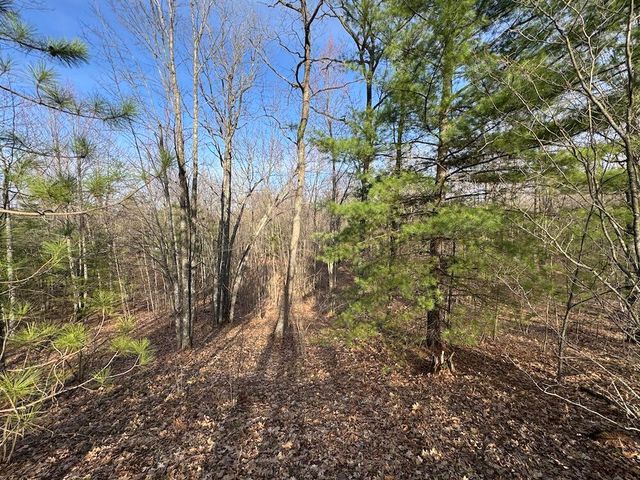 7584 Railroad Grade, Nester Twp, MI 48624