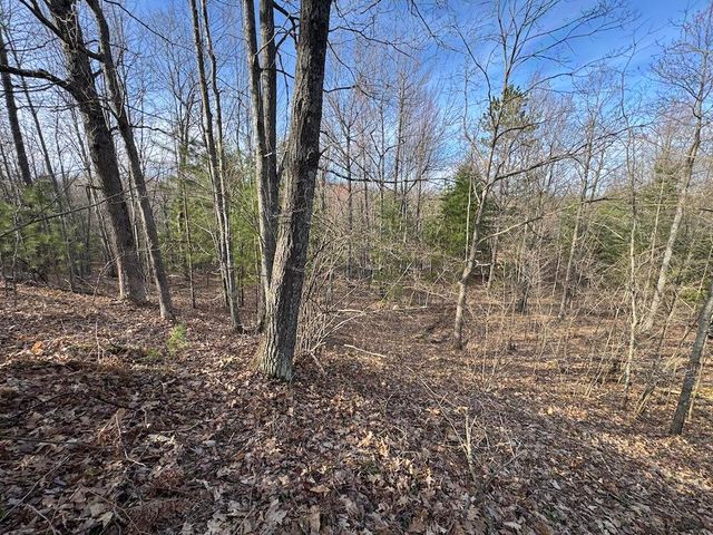 7584 Railroad Grade, Nester Twp, MI 48624
