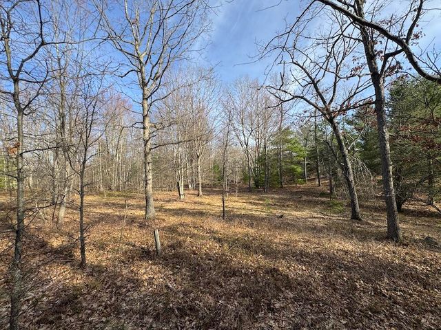 7584 Railroad Grade, Nester Twp, MI 48624
