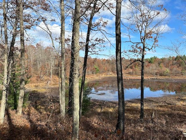 7584 Railroad Grade, Nester Twp, MI 48624
