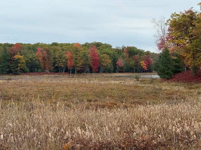 7584 Railroad Grade, Nester Twp, MI 48624
