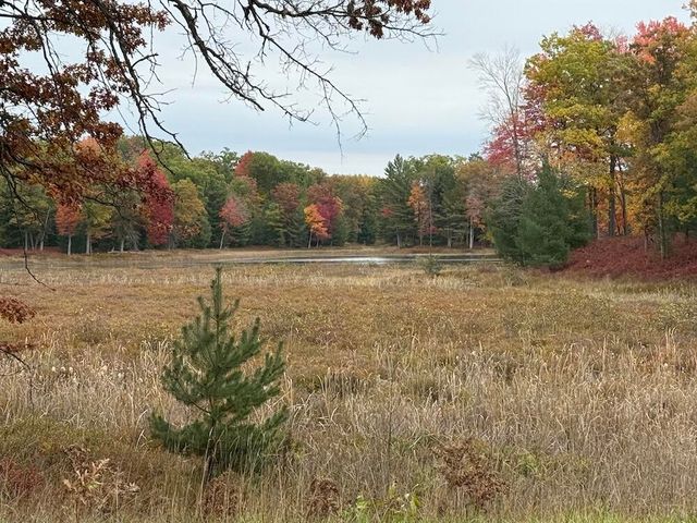 7584 Railroad Grade, Nester Twp, MI 48624