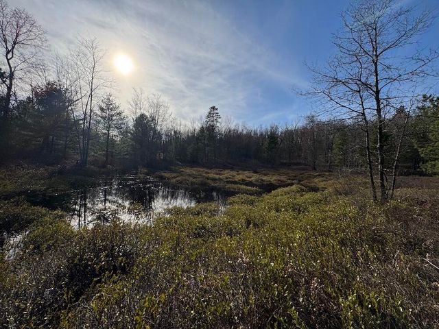 7584 Railroad Grade, Nester Twp, MI 48624