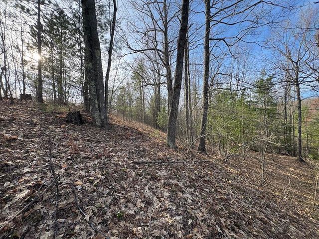 7584 Railroad Grade, Nester Twp, MI 48624