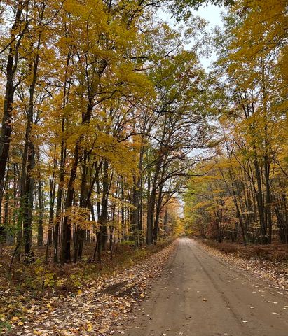 7584 Railroad Grade, Nester Twp, MI 48624