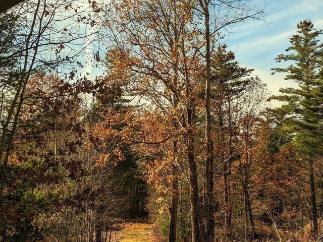 508 Old County Rd., Wales, MA 01081