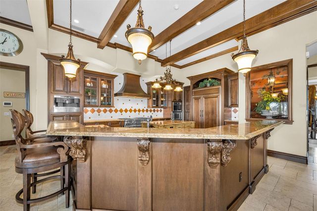 10031 MILANO DRIVE, Trinity, FL 34655