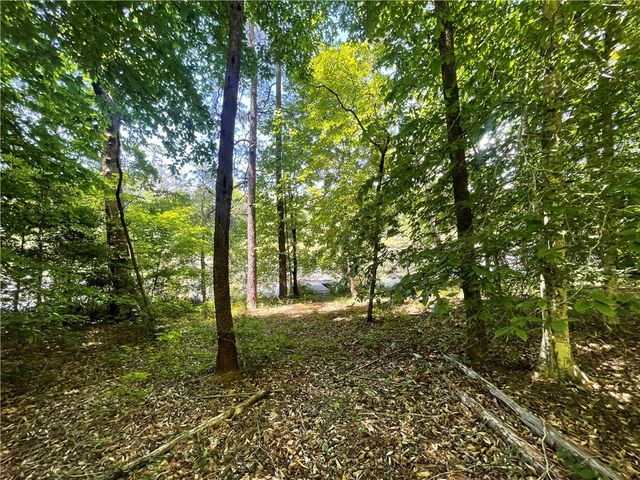 615 The Bear Boulevard, Tamassee, SC 29686