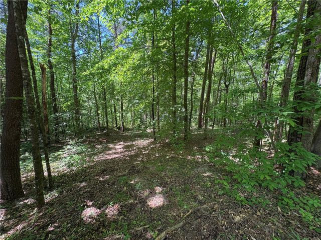615 The Bear Boulevard, Tamassee, SC 29686