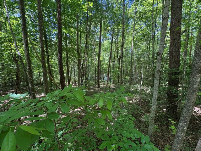 615 The Bear Boulevard, Tamassee, SC 29686