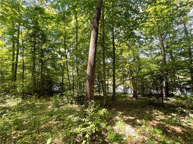 615 The Bear Boulevard, Tamassee, SC 29686
