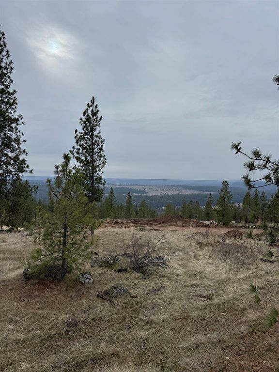 4699 W Landon Ln, Spokane, WA 99208