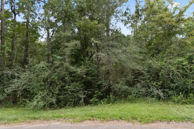 0 Cedar Circle And Plum, Conroe, TX 77302