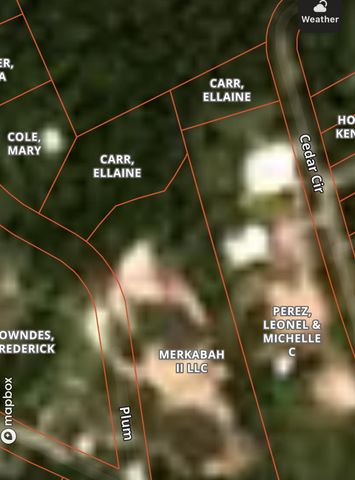 0 Cedar Circle And Plum, Conroe, TX 77302