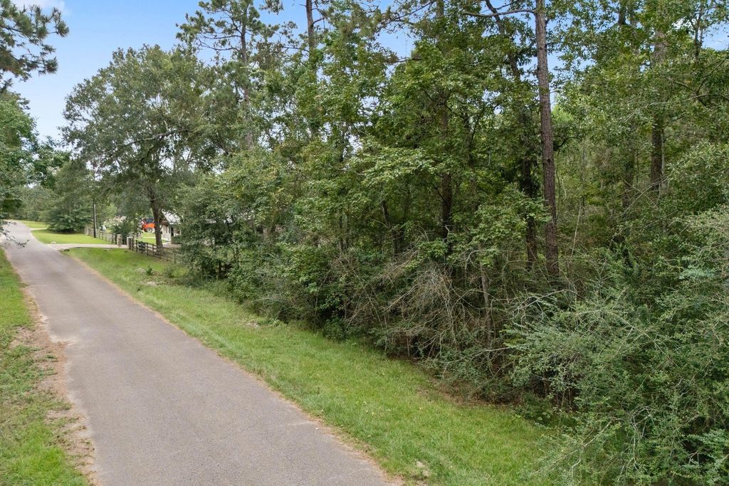 0 Cedar Circle And Plum, Conroe, TX 77302