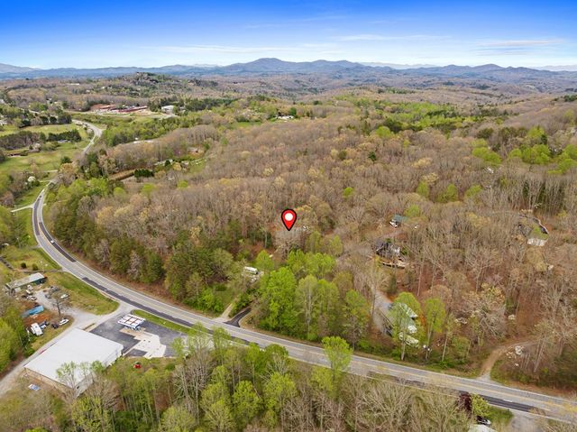 103 Hibiscus Lane, Blue Ridge, GA 30513