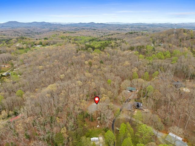 103 Hibiscus Lane, Blue Ridge, GA 30513