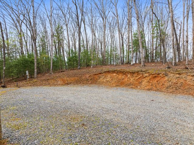 103 Hibiscus Lane, Blue Ridge, GA 30513